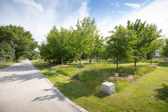 032 gruenberlin mauerpark manuel frauendorf fotografie4O6A2059